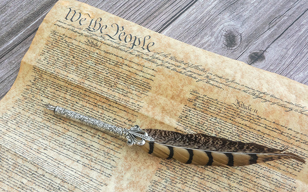 Graphic showing the Bill of Rights
